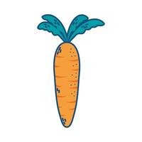 wortel verse groente geïsoleerde icon vector