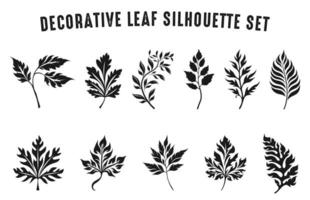 decoratief blad silhouetten vector bundel, reeks van decoratief bladeren silhouet clip art, divers bladeren silhouet Aan een geïsoleerd wit achtergrond