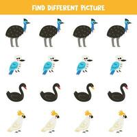 vind verschillend Australisch vogel in elk rij. logisch spel voor peuter- kinderen. vector