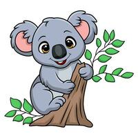 schattig weinig koala tekenfilm Aan een boom Afdeling vector