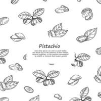 pistache kader retro plein menu poster. vector illustratie in hand- tekening stijl. gezond voedsel ingrediënt sjabloon voor vegetarisch eetpatroon. retro herfst decoratie met bladeren, noten, takken banier