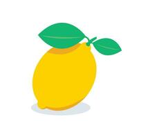 geel citroen vector illustratie