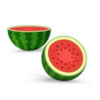 twee besnoeiing onderdelen van watermeloen, clip art, vector, tekenfilm vers groen watermeloen voor de helft, 2 plakjes rood watermeloen stukken. vector, illustratie fruit element voor ontwerpen vector