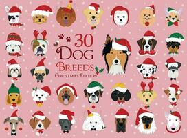 reeks van 30 hond rassen met Kerstmis en winter thema's vector