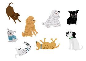 schattig vector reeks van tekenfilm hond tekens Aan wit. schattig honden rassen reeks