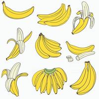 doodle uit de vrije hand schets tekening van banaan fruit. vector