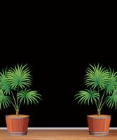 Decoratieve indoor palmboomsjabloon vector