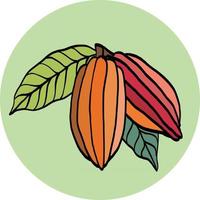 cacao pod uit de vrije hand tekenen op kleurrijke achtergrond. vector