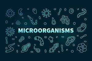 micro-organismen vector micro organismen concept schets gekleurde horizontaal banier of illustratie met micro organismen schets tekens