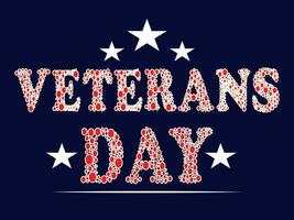 Amerikaans patriottisch viering veteranen dag vector illustratie.