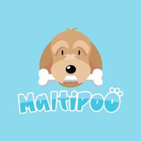 schattig Maltipoo hond is bijten een bot vector logo