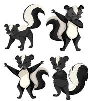 Een set skunk vector