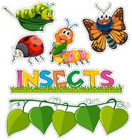 Sticker met verschillende insecten in tuin wordt geplaatst die vector