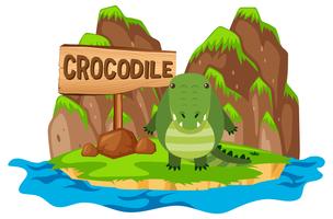 Krokodil op het eiland vector