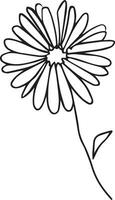 klein zwart aster tatoeëren, aster bloem tekening, aster bloem tekening tatoeëren, tekening aster september bloem tatoeëren, aster september geboorte bloem tatoeëren vector