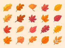 herfst blad verzameling oranje esdoorn- bladeren in herfst gemakkelijk ontwerp vector