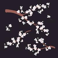 wit kers takken in een vlak stijl. delicaat kers bloemen voor groet kaarten voor moeder dag, Internationale vrouwen dag. vector clip art. Japans traditioneel Hanami festival.