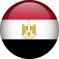 Egypte vlag knop. embleem van Egypte. vector vlag, symbool. kleuren en proportie correct.