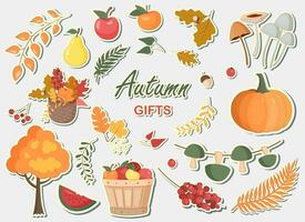 vector verzameling met herfst stickers. vallen clip art reeks met bladeren, pompoen, fruit en champignons. herfst geschenken.