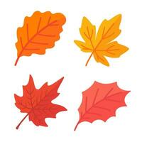 mooi blad samenstelling. bladeren verandering kleur in herfst vector