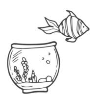 goudvis in een aquarium. vector illustratie . tekening stijl. aquarium met algen.