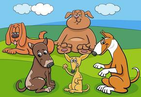 tekenfilm honden en puppy's tekens groep in de weide vector
