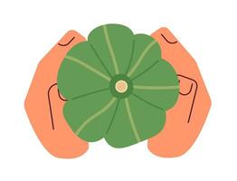 kabocha pompoen Holding tekenfilm karakter handen illustratie. herfst oogst vegetarisch onrijp 2d vector beeld geïsoleerd Aan wit achtergrond. groente tuin zomer rustiek bewerkbare vlak clip art kleur