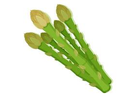 vector illustratie van asperges vers groente. heerlijk gezond voedsel