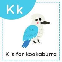 aan het leren Engels alfabet voor kinderen. brief k. schattig tekenfilm kookaburra. vector