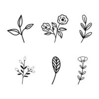 set van handgetekende bloemen en bladeren pictogrammen vector