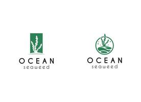modern en minimalistische zeewier logo ontwerp inspiratie vector