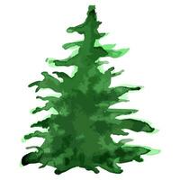 Kerstmis boom. waterverf kunst. vector groenblijvend boom illustratie. geïsoleerd nieuw jaar.