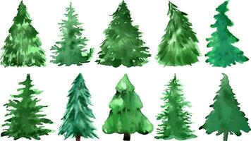 waterverf Kerstmis bomen hand- getrokken, vector illustratie reeks van silhouetten, groen kleur. nieuw jaar decoratie.