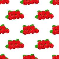 thema grote gekleurde naadloze rode cranberry vector