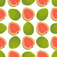 illustratie op thema grote gekleurde naadloze guave vector