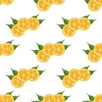 illustratie op thema grote gekleurde naadloze kumquat vector