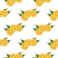 illustratie op thema grote gekleurde naadloze kumquat vector