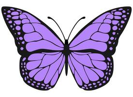 tropisch elegant vlinder met kleurrijk Vleugels geïsoleerd Aan wit achtergrond. vector