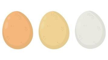 natuurlijk goud, bruin en zilver eieren voor Pasen geïsoleerd Aan wit achtergrond. patroon voor ornament. vector