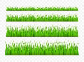 groen gras weide grens vector patroon. gras achtergrond vector illustratie.