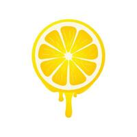 banners met vers citrus fruit Aan een wit achtergrond. vector illustratie.