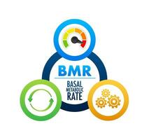 bmr basaal metabolisch tarief acroniem. vector voorraad illustratie