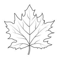 contour tekening van een esdoorn- blad. herfst blad vector