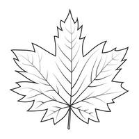 contour tekening van een esdoorn- blad. herfst blad vector