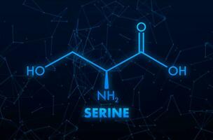 serine formule. serine of l serine, ser, s, amino zuur molecuul vector