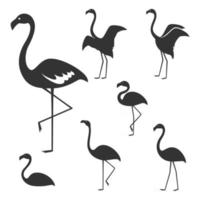 zwarte flamingo. dierlijk karakter. vector illustratie
