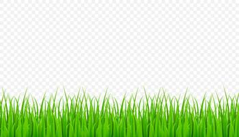 groen gras grens, veld- gazon. vector voorraad illustratie