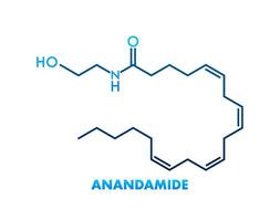 anandamide concept chemisch formule icoon label, tekst doopvont vector illustratie.