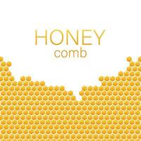 honingraat monochroom honing patroon Aan wit achtergrond. vector voorraad illustratie