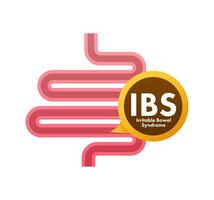prikkelbaar darm syndroom ibs tekens. Gezondheid berichten over ibs diagnose. vector voorraad illustratie